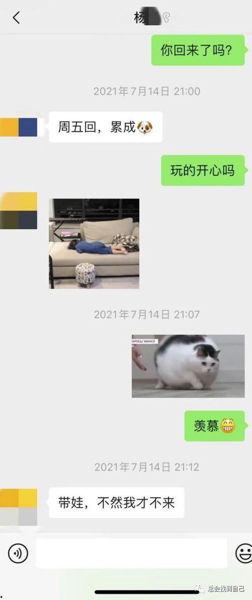 中山大学女生爆料视频,揭秘校园内幕