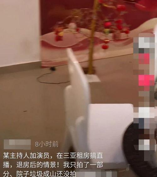 酒店最新爆料视频播放,最新爆料视频带你探秘酒店真实面貌